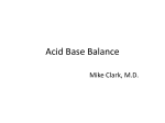 Acid Base Balance (2)