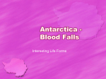 Antarctica: Blood Falls