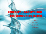 heredity , growth and the endocrine system - 6thgrade