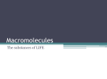 Macromolecules - Mr. Holmes` Biology
