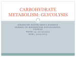 carbohydrate metabolism: glycolysis