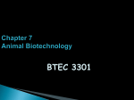 Themes in Biology - College of Science and Mathematics