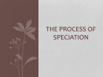 The process of Speciation