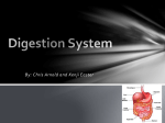 Digestion System