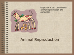 Animal Reproduction and Genetics