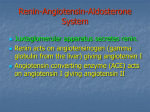 AngiotensinReninAldost