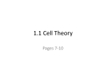 1.1 Cell Theory and the Microscope - Hutchison