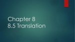 Chapter 8 8.5 Translation