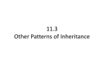 11.3 Other Patterns of Inheritance
