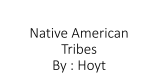 Native American Tribe*s By : Hoyt