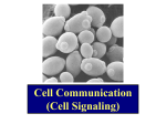 Cell Signaling