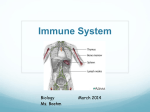 Immune System - ilovebiology