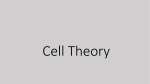 Cell Theory and the Scientists