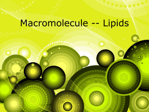 Lipids