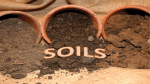 SOILS Soils are Crucial for Life on Earth
