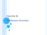 Chapter 25 Neurologic Function