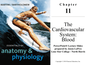 Chapter 11: Cardiovascular System: Blood