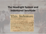 The Headright System and Indentured Servitude