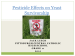 Pesticide Effects on Yeast Survivorship