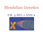 Mendelian Genetics