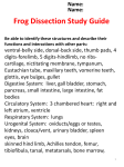 Frog Dissection Inquiry: Background and Questions