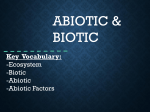 abiotic