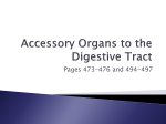Accessory Organs to the Digestive Tract