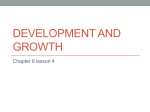 Development and growth