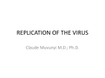 REPLICATION OF THE VIRUS