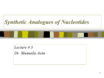 3)Synthetic Analogues of Nucleotides