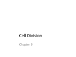 Cell Division - Shelton School District