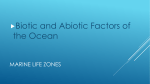 Marine Life zones and biotic and abiotic factors chart information