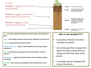 soil study guide 2015