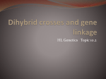 Dihybrid crosses and gene linkage