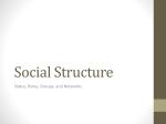 Social Structure notes