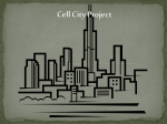 Cell City Project