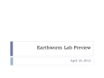 Earthworm Lab Preview