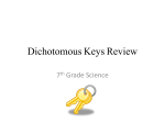 Dichotomous Keys Review