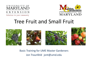 Tree Fruit and Small Fruit - University of Maryland Extension