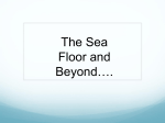 Deep Sea Adaptations Powerpoint