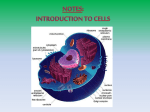 cells - Gainesville ISD