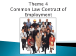 Theme 4 Common Law Contract of Employment