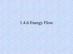 1.4.6 Energy Flow