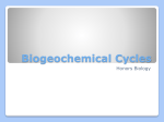 Biogeochemical Cycles