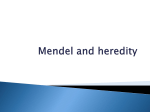 Mendel and heredity