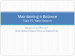 15.1.1 Water Balance