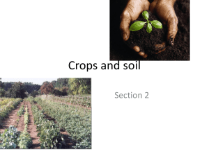 Crops and soil - Bioenviroclasswiki