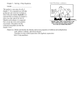 Chapter 3 – Solving 2-Step Equations This packet is your notes for