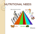 Nutrition - PP3 Nutritional Needs