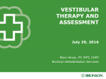 Vestibular Therapy and Assessment